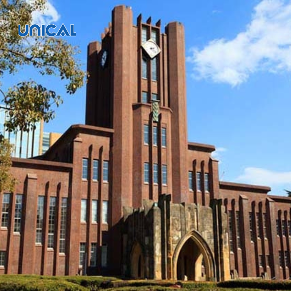 Kết quả nghiên cứu của Đại học Tokyo Nhật Bản gần như đã giải đáp được thắc mắc Canxi Unical có tốt không