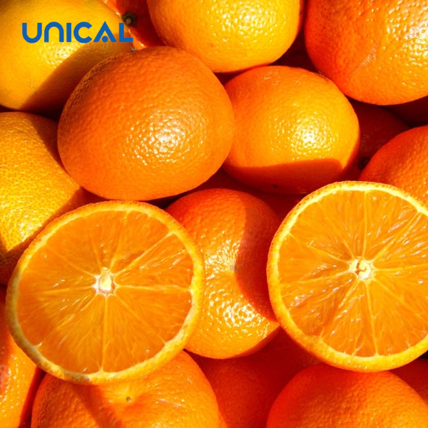 Ngoài vitamin C thì cam chứa nhiều canxi