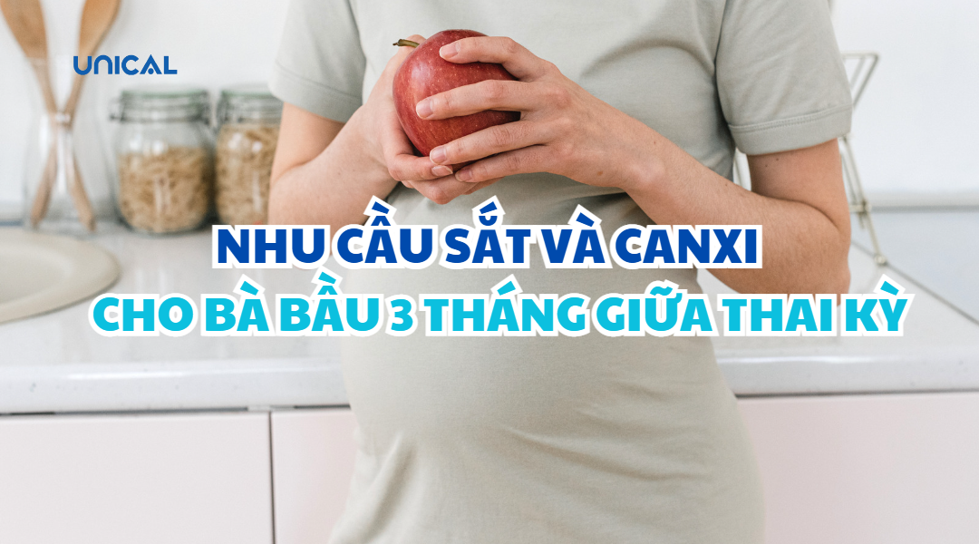 Nhu cầu sắt và canxi 3 tháng giữa thai kỳ là bao nhiêu