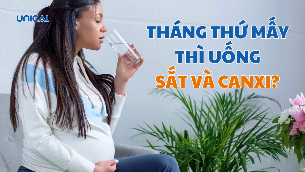 Bầu tháng thứ mấy thì uống sắt và canxi