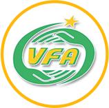 Trang Mẫu 19 VFA